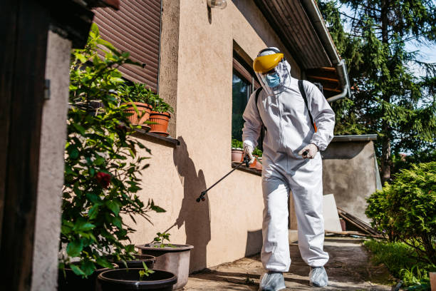 Best Pest Prevention Services  in Merrimac, VA