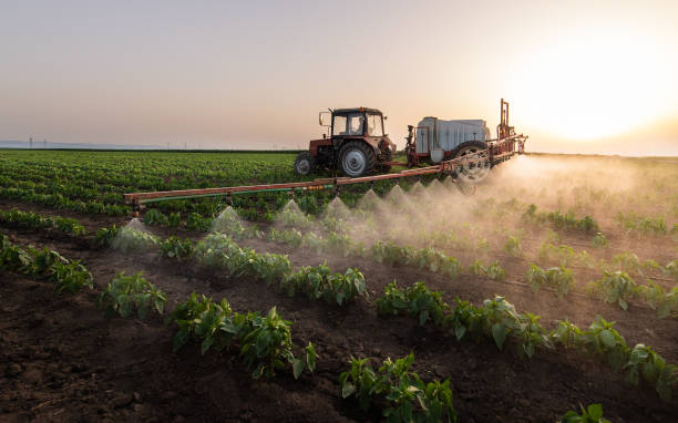 Best Pest Removal Services  in Merrimac, VA