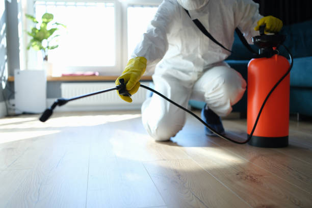 Best Insect Control  in Merrimac, VA