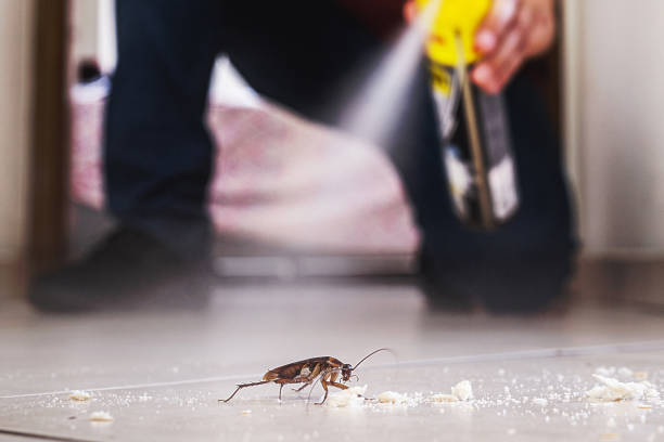 Best Cockroach Control Services  in Merrimac, VA