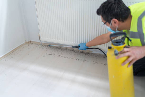 Best Local Pest Control Services  in Merrimac, VA