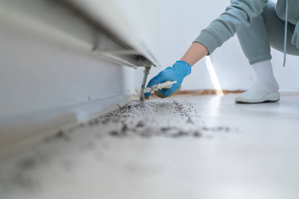 Best Cockroach Control Services  in Merrimac, VA